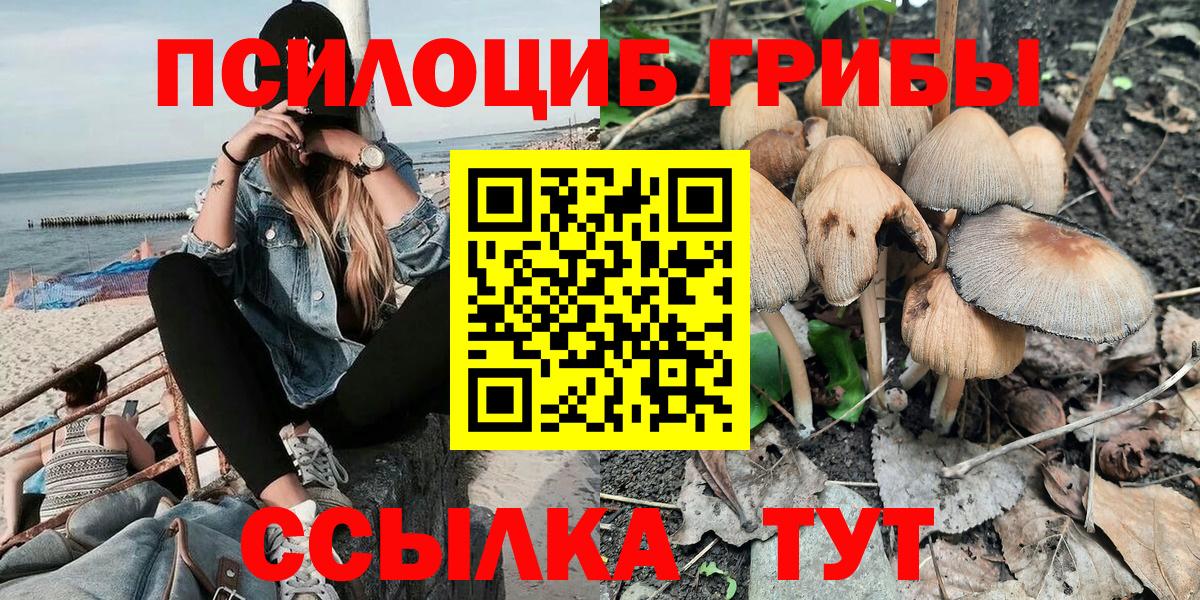 Псилоцибиновые грибы Psilocybine cubensis  Вход с VPN  Лысьва 