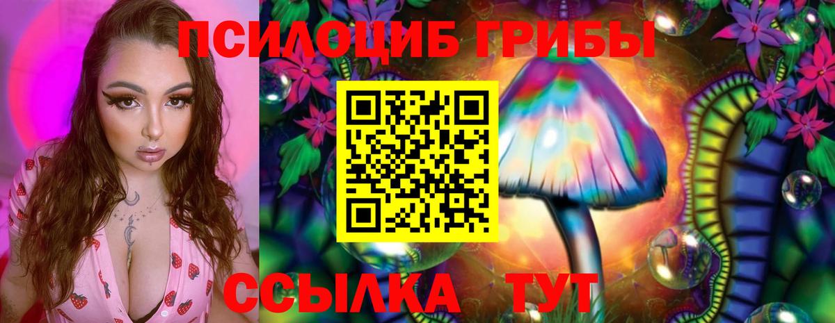 Псилоцибиновые грибы Cubensis Лысьва